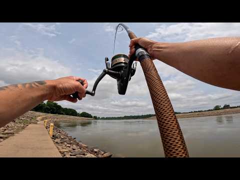 I Caught A Unexpected MONSTER At This Dam!