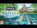 Aquatica Orlando 2023 Overview
