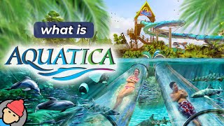 Aquatica Orlando Overview