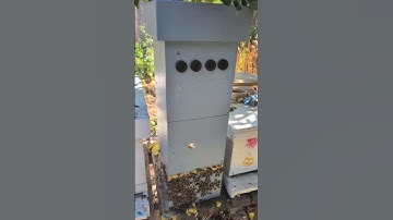 Mini Mating Nuc.  Not Quite What I Had In Mind