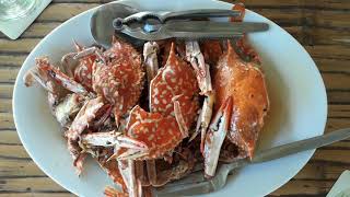 Costa Aguada Island Resort 2019