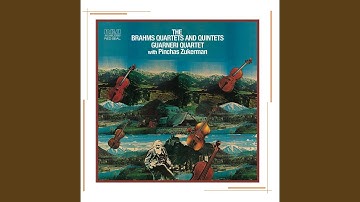 String Quartet No. 3 in B-Flat Major, Op. 67: II. Andante