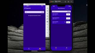 React Native - The Expense Tracker App (My Studying)