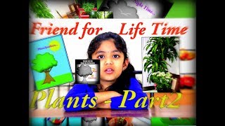 Friend For Life Time - Plants Part 2 - Clicklachu Brightminds
