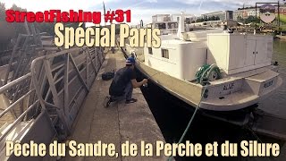 StreetFishing #31 Spécial Paris : Pêche du sandre, de la Perche et du Silure