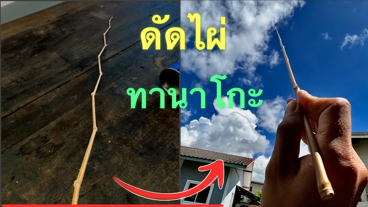 สอนดัดไผ่ทำคันทานาโกะ เบื้องต้นที่คุณก็ทำได้