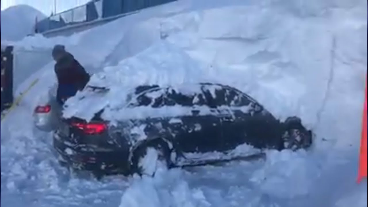 Snow is everywhere! "Arctic Blast" hits Germany, Austria, Netherlands