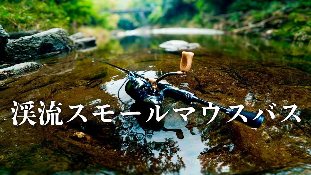 【バス釣り】綺麗な川で夏のバス釣りがしたい