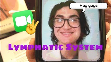 A&P II - Lab 4: Lymphatic System