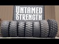 Inside the walls of untamed strength  2024 gym tour