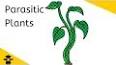 Видео по запросу "parasitic nutrition in plants"