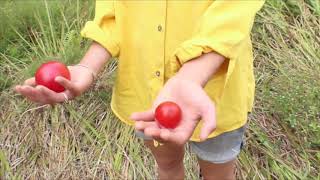 Ellen Oliver projects