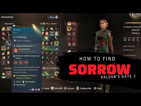 How to find the sorrow | how to open the stone slab door | how to use the wolf run | Baldur's Gate 3