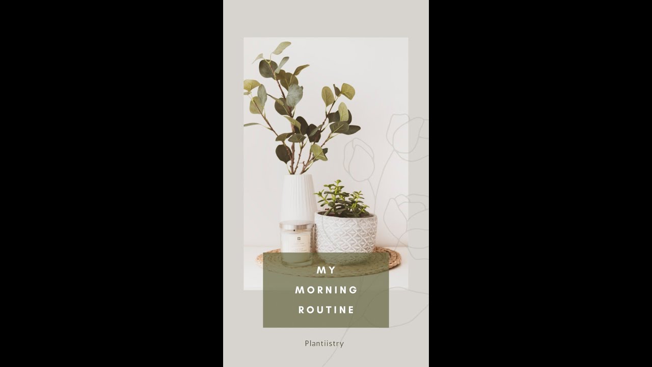 My Morning Plant Care Routine ✨ | Plantiistry
