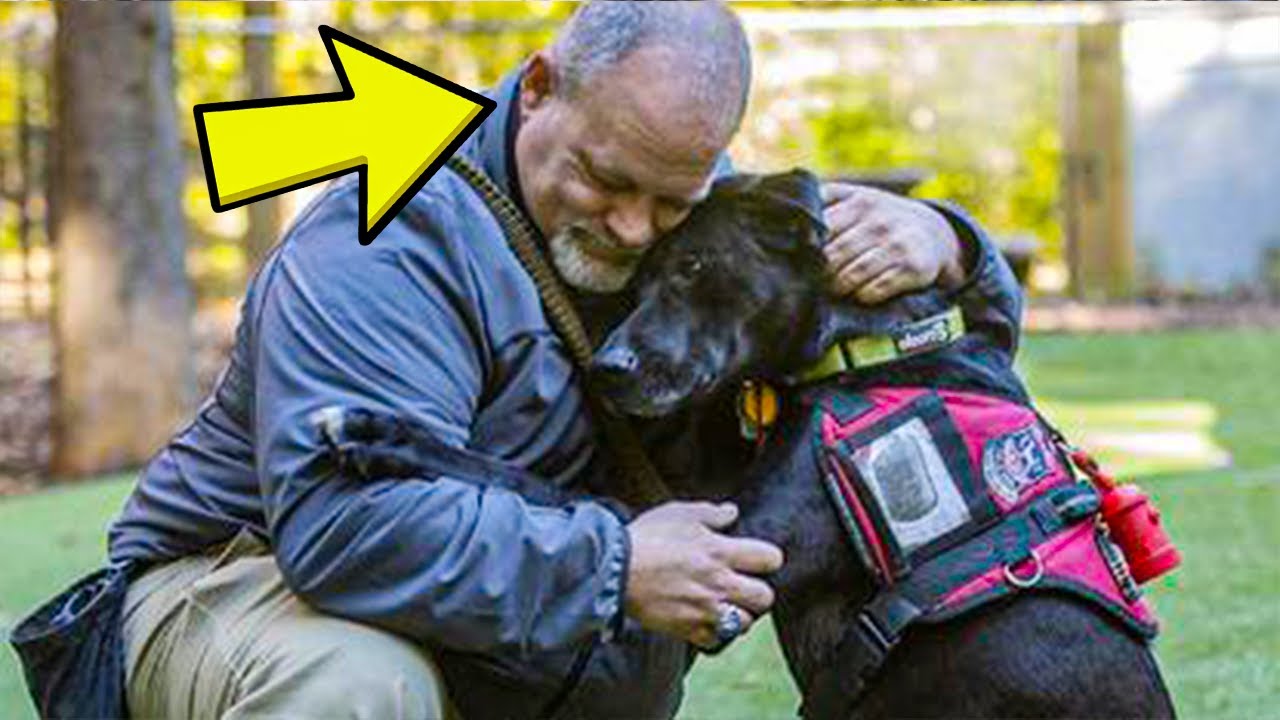 Suicidal Veteran With PTSD Adopts Rescue Dog  Now He’s Helping Other Vets Do The Same