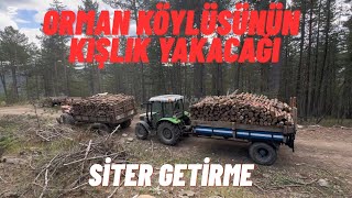 ORMAN KÖYLÜSÜNÜN KIŞLIK YAKACAĞI - TRAKTÖRLERLE SİTER GETİRME - ORKÖY - KIŞLIK HAZIRLIK 