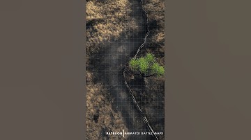 D&D | Cinderpath Part 6 Grid | Animated Battle Maps