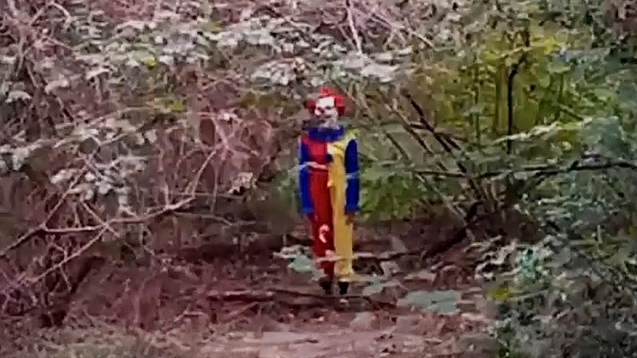 7 Scary and Disturbing Forest Encounters Caught on Camera