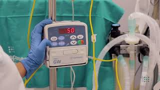 La Administración De La Nutrición Parenteral Por Catéter Venoso Central