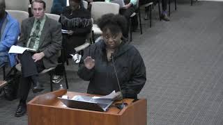 County Council Meeting, March 17, 2026
