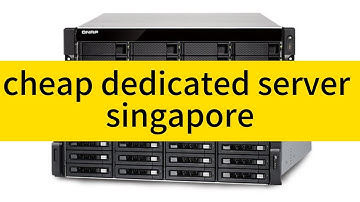 Discover Affordable Hosting Solutions: Cheap Dedicated Server in Singapore with Raksmart