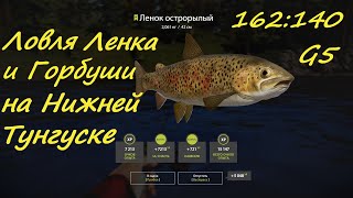 Ловля Ленка и горбуши на Тунгуске. Русская рыбалка 4