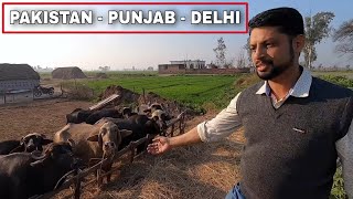 Driving back to Delhi on Maruti S-Cross with Baiju N Nair, EP #4