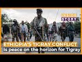 Is peace on the horizon for ethiopias tigray region  inside story