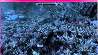 Skyrim Exploding Chickens