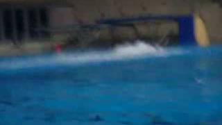 10 meter gainer