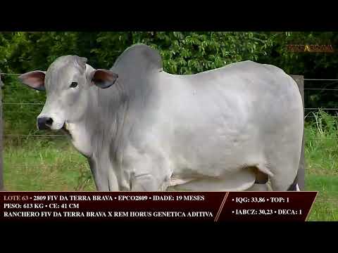 LOTE 63   EPCO 2809