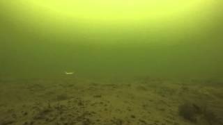 Panguitch ice fishing