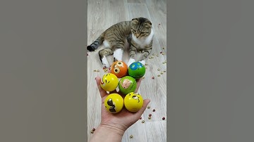 Balls 😁🐱 Cat Barsik Reverse Video #funnyreversecat #cat #catfunny #funny #funnyreverse #kitten