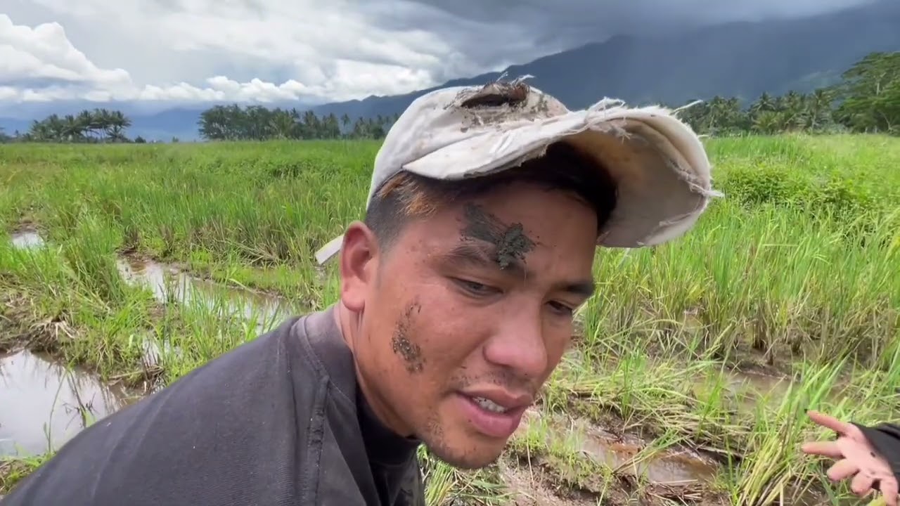 ang mahitas-on nga amo