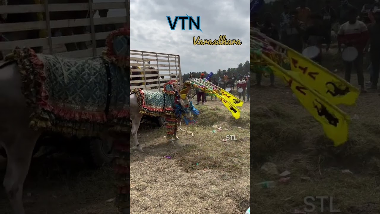 VTN Varasdara @ Gopasandram Festival 2023