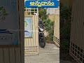 FOOD Distribution Service | #shorts #food #today