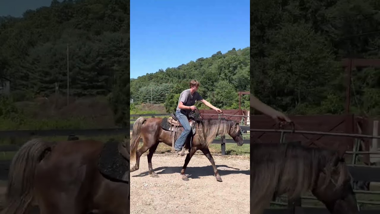 Stardust's Follow That Dream