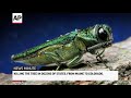AP Top Stories February 27 P