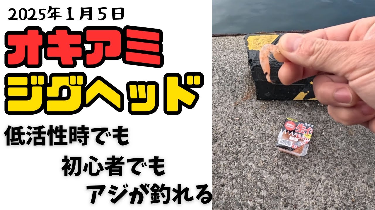 楽に短時間でアジを釣る　簡単でお手軽フィッシング　初心者向け