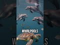 Discover the ocean's hidden city! #OceanMysteries #WhirlpoolOfLife