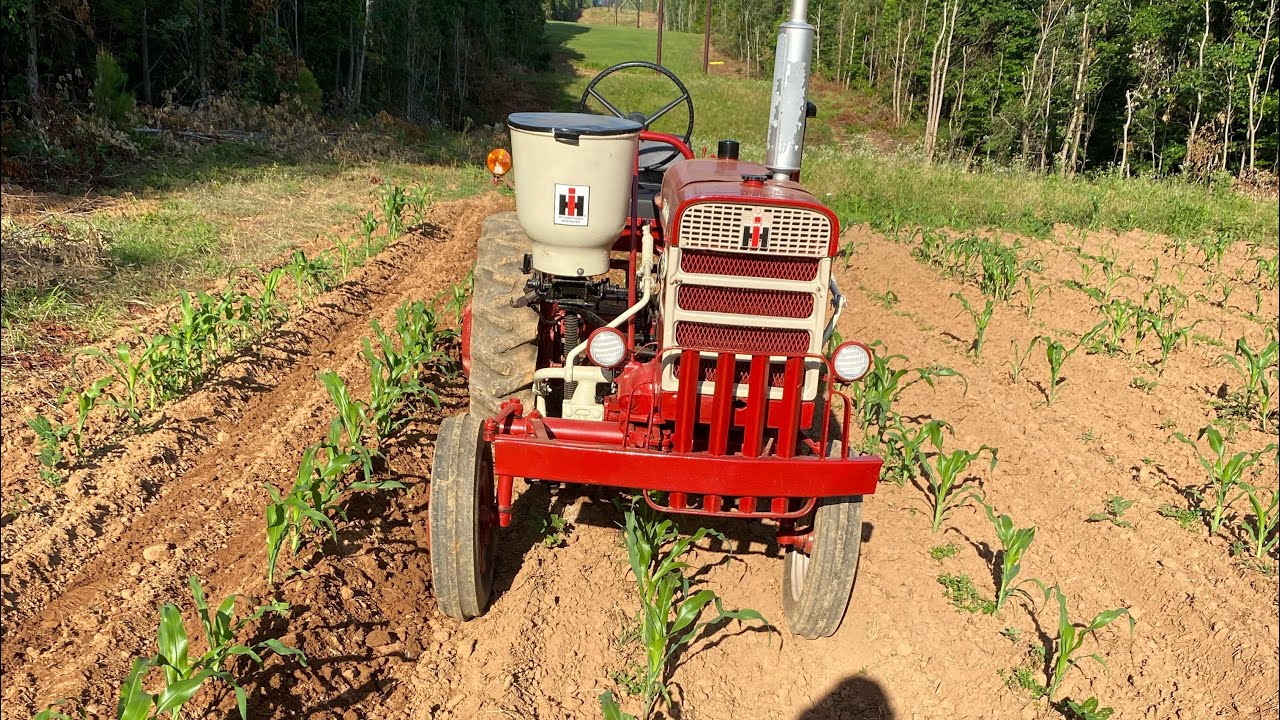 2nd hilling of corn with the farmall 140 June 11