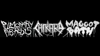 Pulmonary Fibrosis/Chikara/Maggot Bath 3-Way Split (2018) Full Album HQ (Goregrind/Crust/Sludgecore)