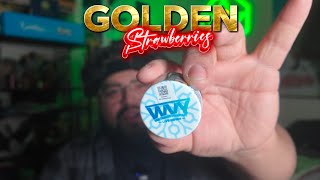 Golden Strawberries [WVY Concentrate Review]