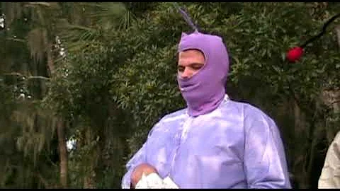 Pikmin The Real Movie