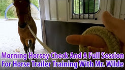 Stable Horse Training Youtube