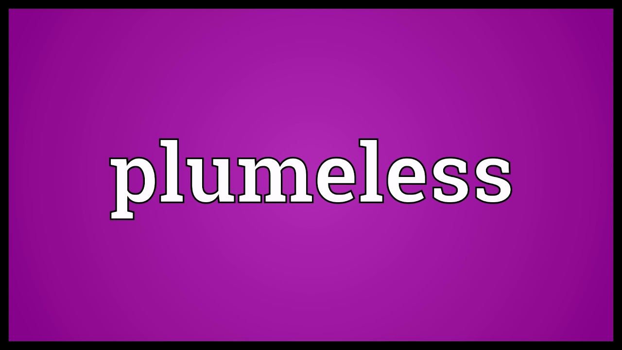 Plumeless Meaning | Wordogram