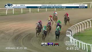 Vidéo de la course PMU PREMIO SOUTH SEA 2012