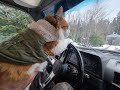 4x4 CAT | NORTH COPPER TRAILS #adventurecat #toyota #pnw