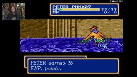 Shining Force II: Does the damsel count as difficult terrain? (Part 1)