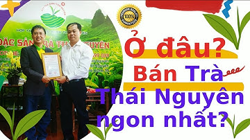 Chè Tân Cương Thái Nguyên | Trà Thái Nguyên ai cũng thích